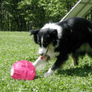 Play and Freeze Ice Cream Maker Kitchen Iconix 