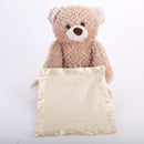Plush Peek a Boo Talking Teddy Bear Kids Iconix 