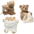 Plush Peek a Boo Talking Teddy Bear Kids Iconix 