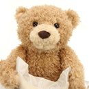Plush Peek a Boo Talking Teddy Bear Kids Iconix 