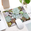 Rectangle Glowing Succulents Mouse Pad Mouse Pads Iconix 