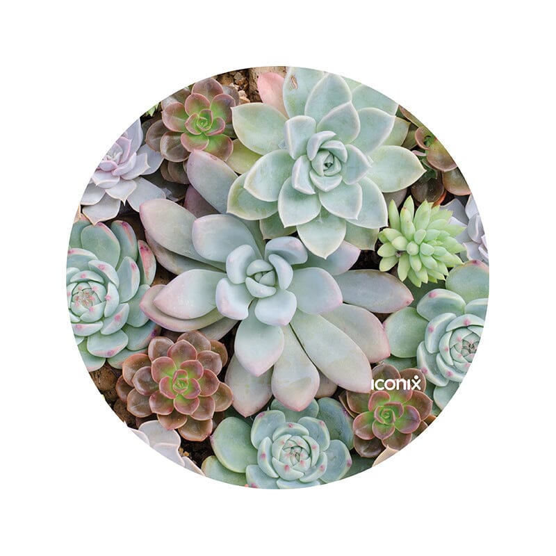 Round Glowing Succulents Mouse Pad Mouse Pads Iconix 