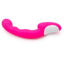 Silicone Rechargeable Vibrator with 30 Vibration Frequencies Iconix 