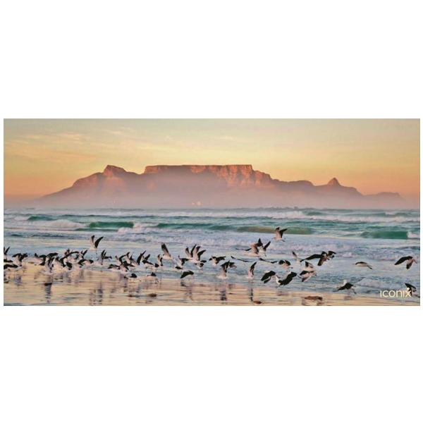 Table Mountain Morning Glory Full Desk Coverage Gaming and Office Mouse Pad Mouse Pad Iconix 