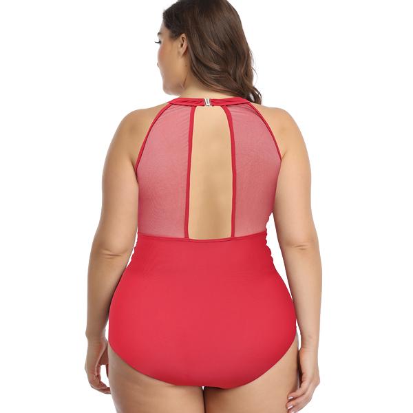Women's Plus Size Red Mesh Swimsuit Plus Size Swimwear Iconix 